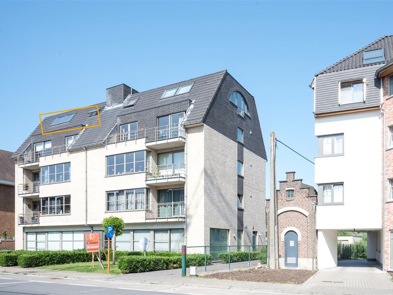 AALSTSTRAAT 114 501 OUDENAARDE