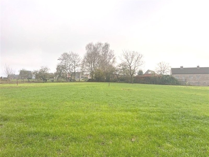 Bouwgrond in Kluisbergen