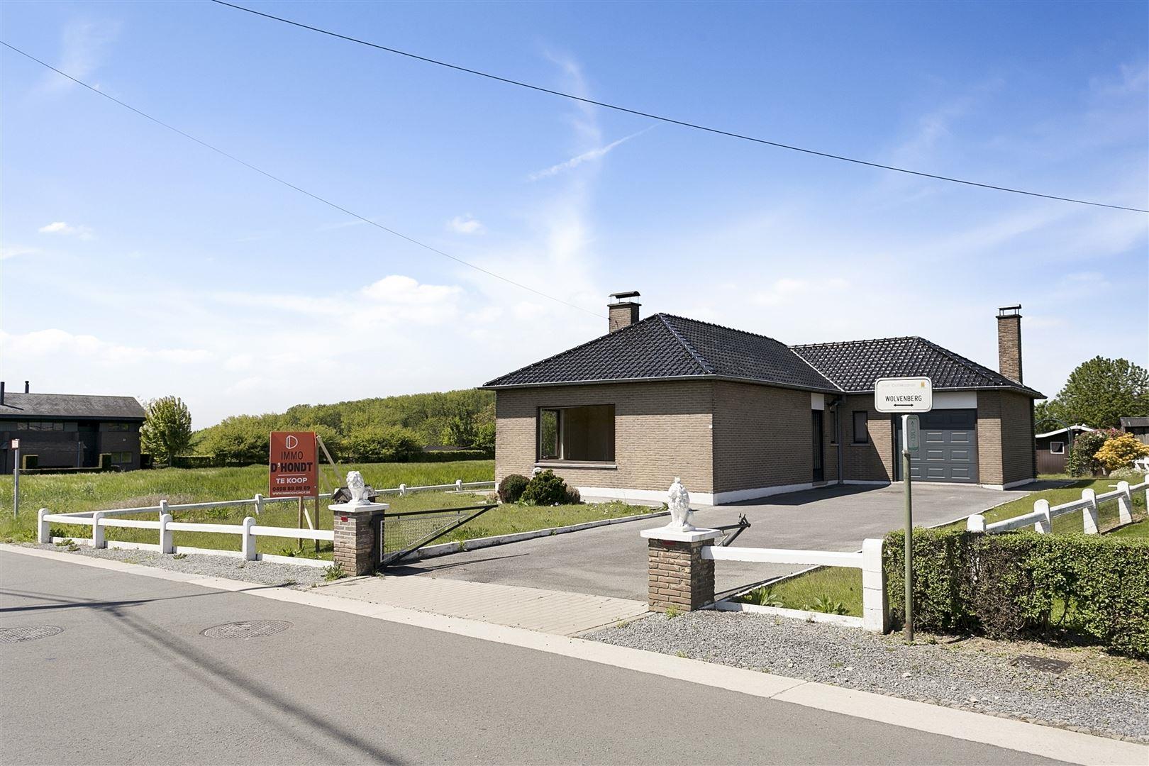 Wolvenberg46oudenaarde-01.jpg
