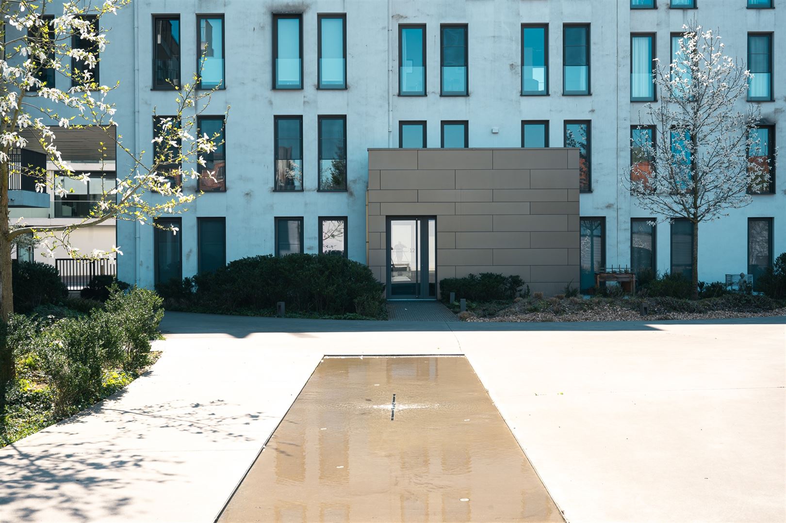 Ardriaen_Brouwerstraat_12-1