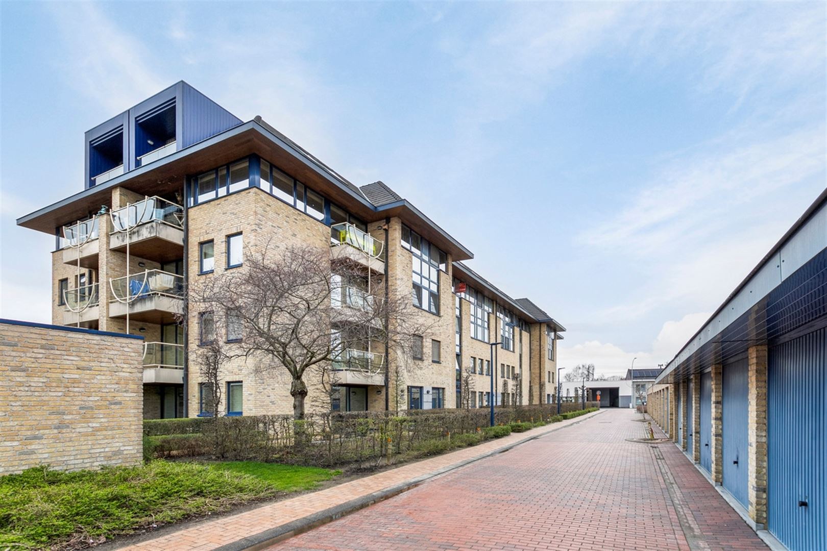 RIETHOF 6 / 0403 OUDENAARDE