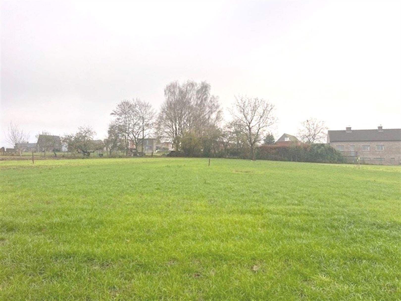 GROTE HERREWEG KLUISBERGEN