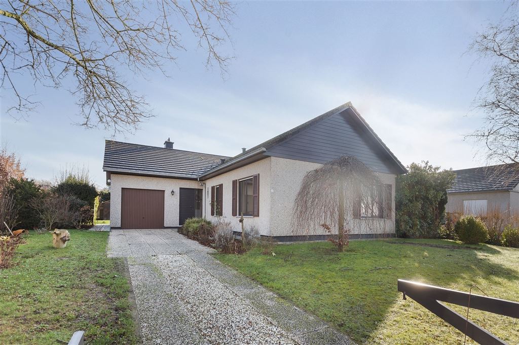 HONGERIJE 12 OUDENAARDE