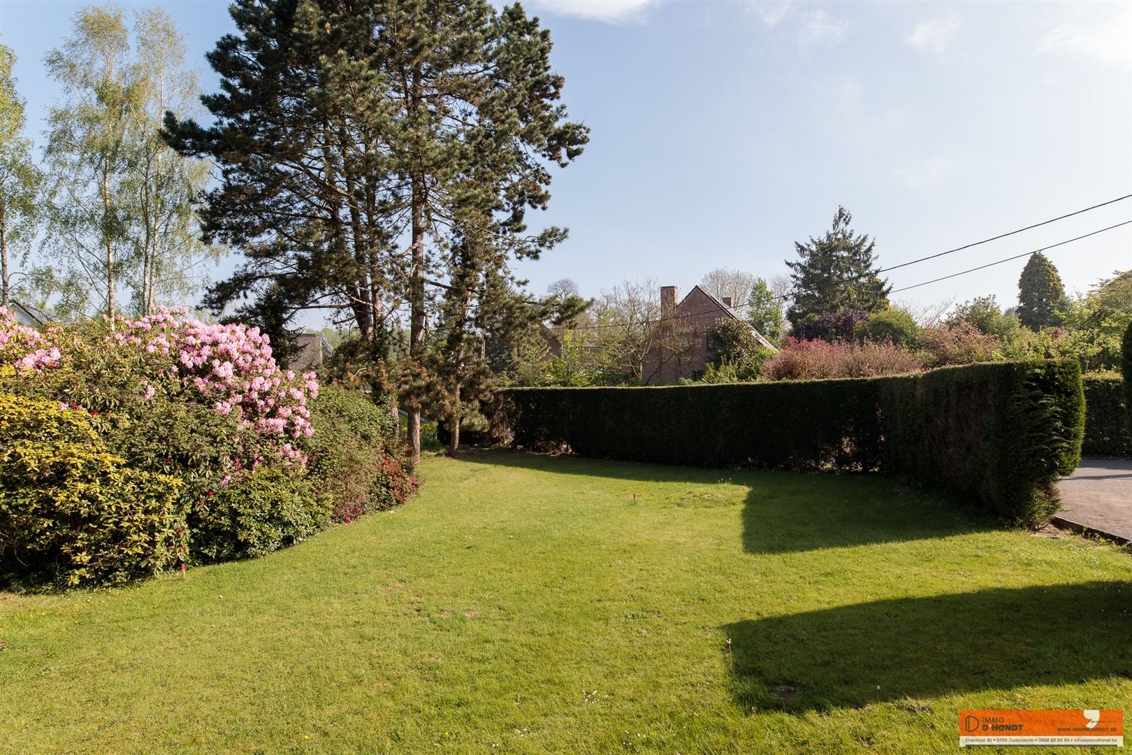 Immo D'Hondt te koop Zottegem -IMG_7318.jpg