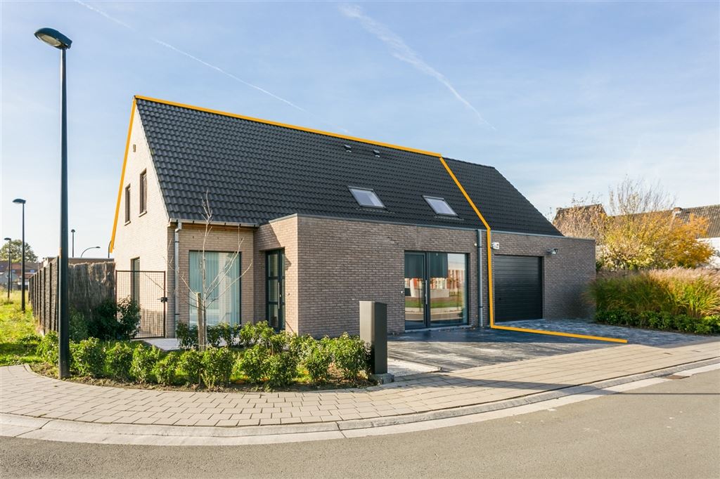 MOLEYSEKOUTER 4 KLUISBERGEN